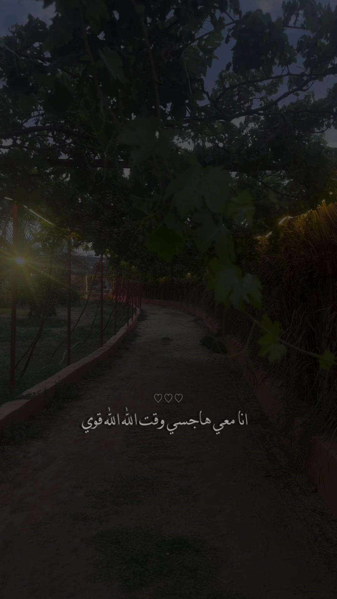 @Om hisham