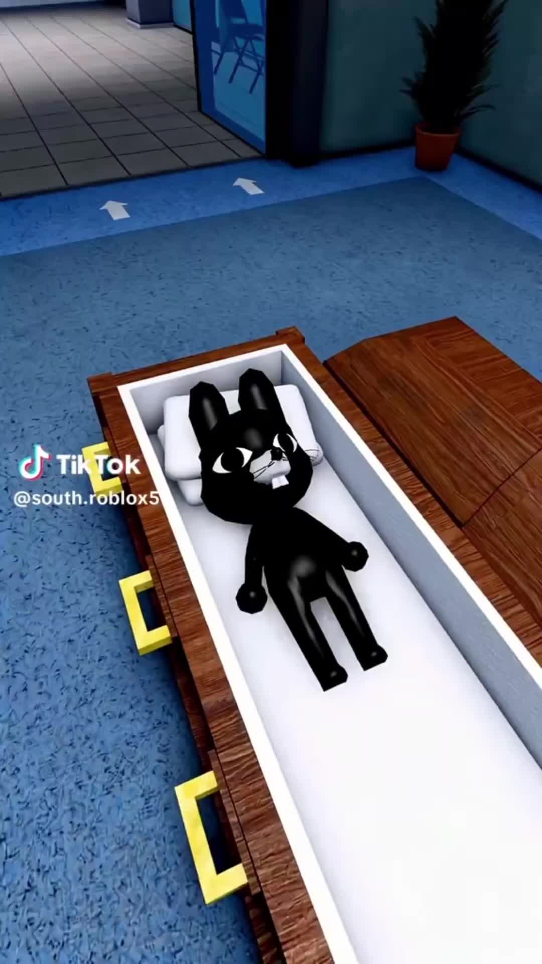 @🌺