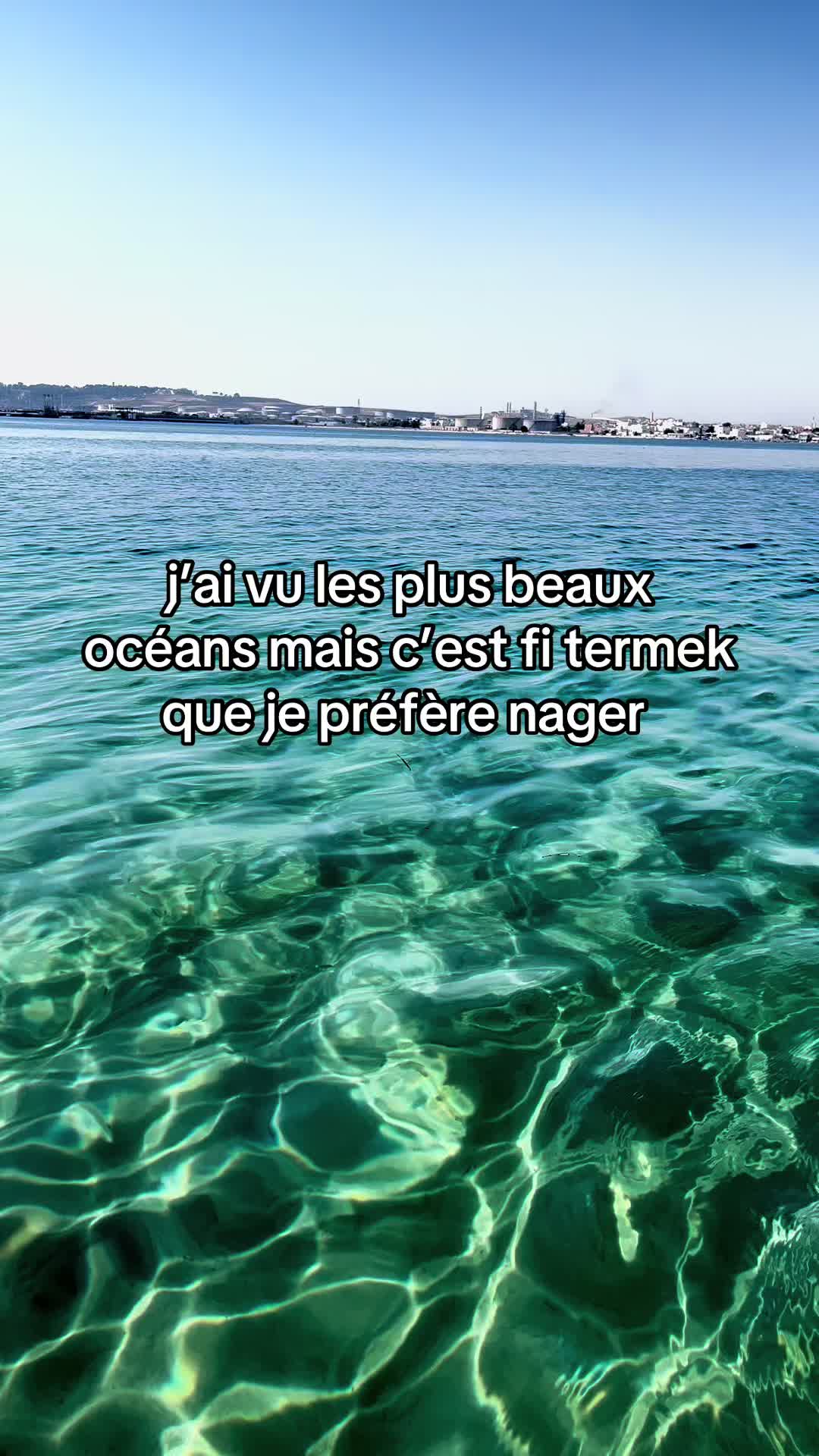 @𓆉