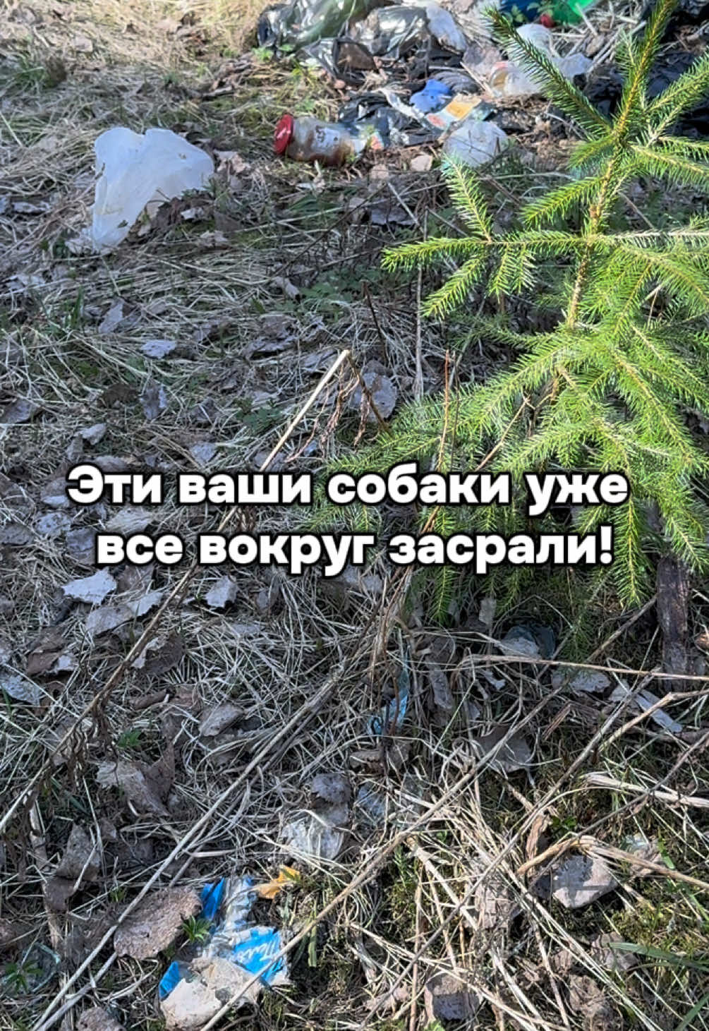 @Даша из зоопарка