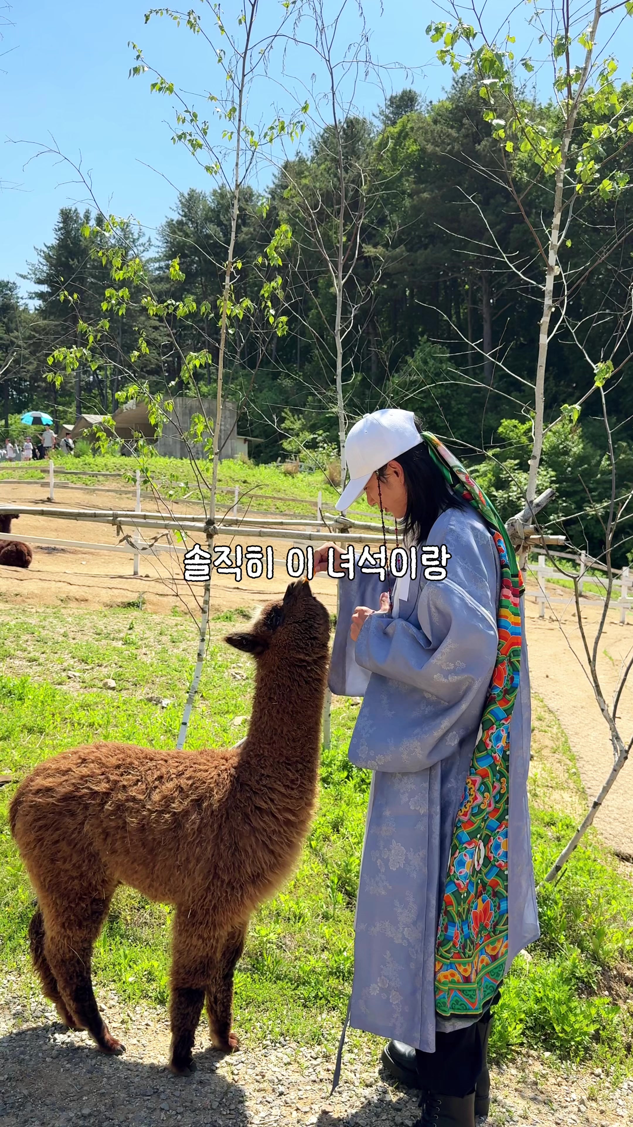 @traveler_jin