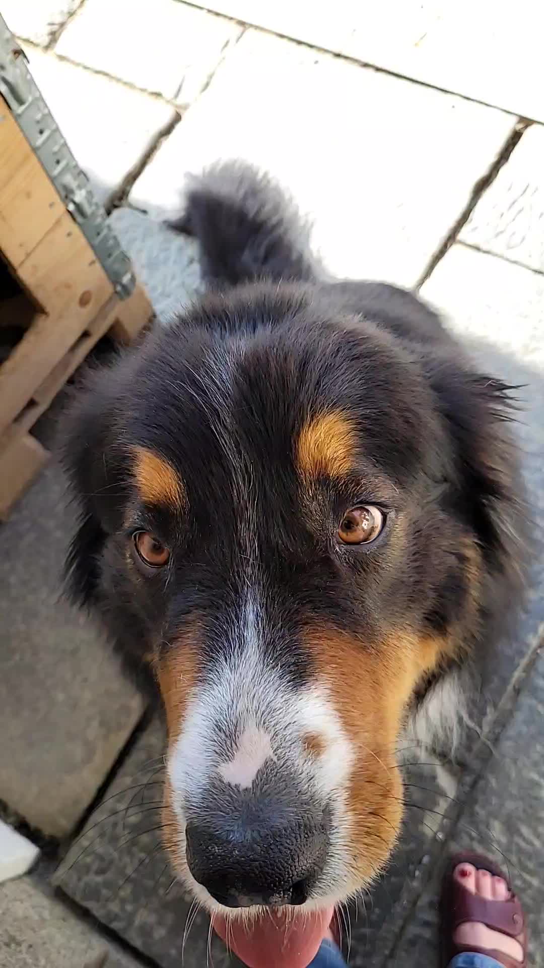 @berner.bruno