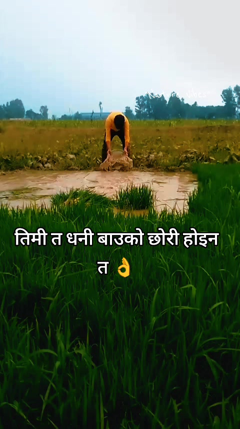@Ꭱᴀᴊ֟፝ᴇꜱʜ~Jᴀɪsᴡᴀʟ