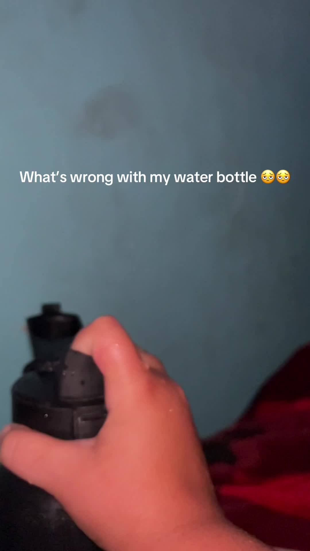 @sonic_boy661🦤