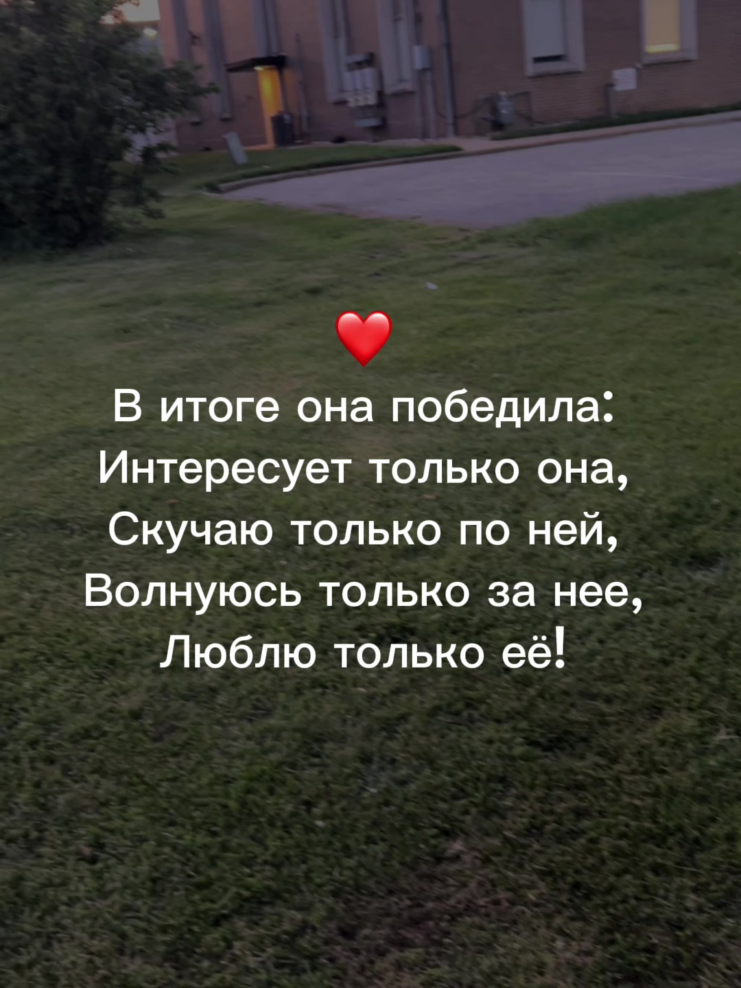 @muzdogz