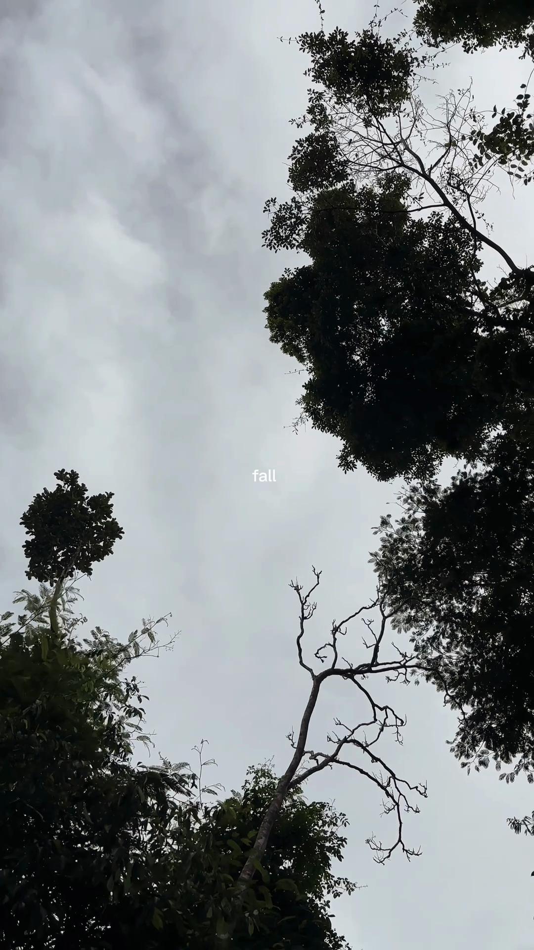 @weendyy
