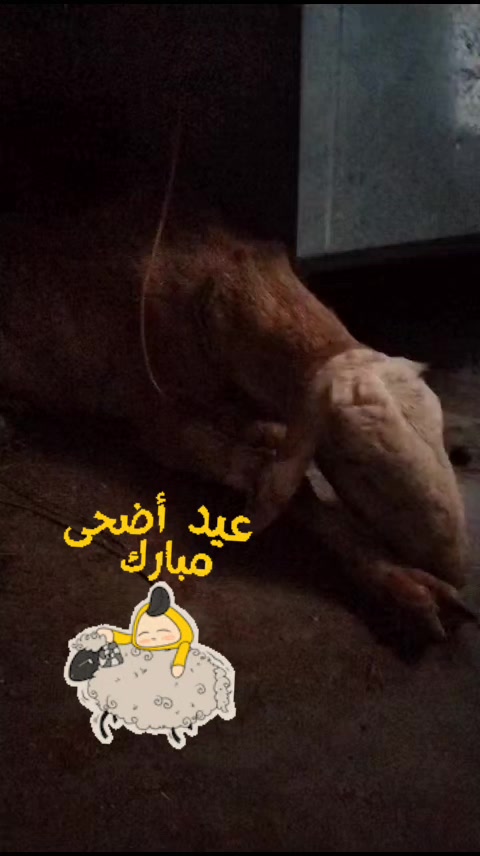 @Ali khan