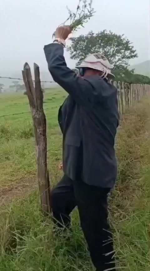 @fabiosilva_divulgacao