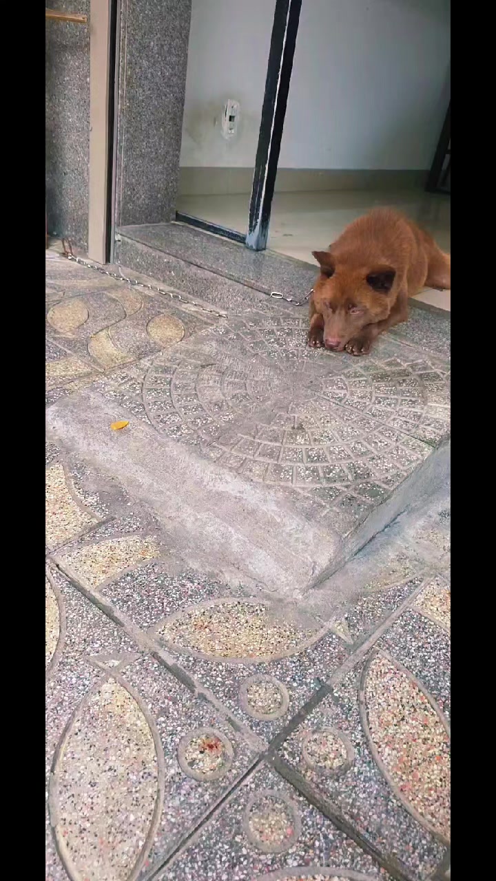 @&ocirc;ng gi&agrave; đầu tư 👴 b&aacute;n s&aacute;ch