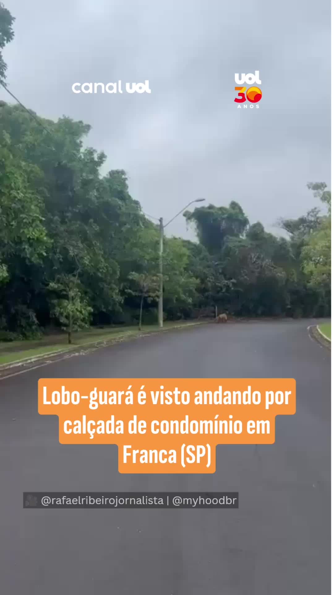 @uol