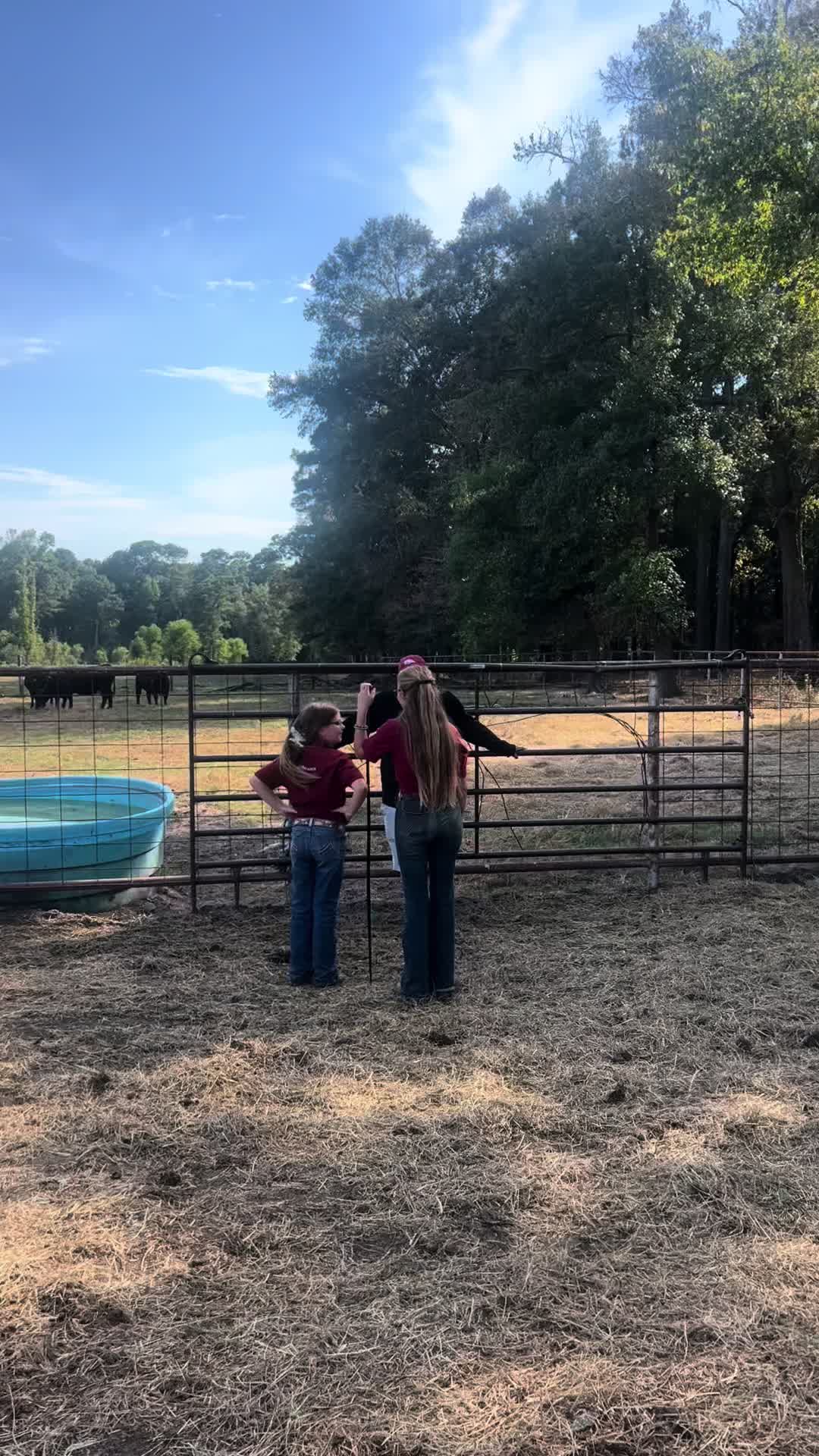 @The V6 Ranch