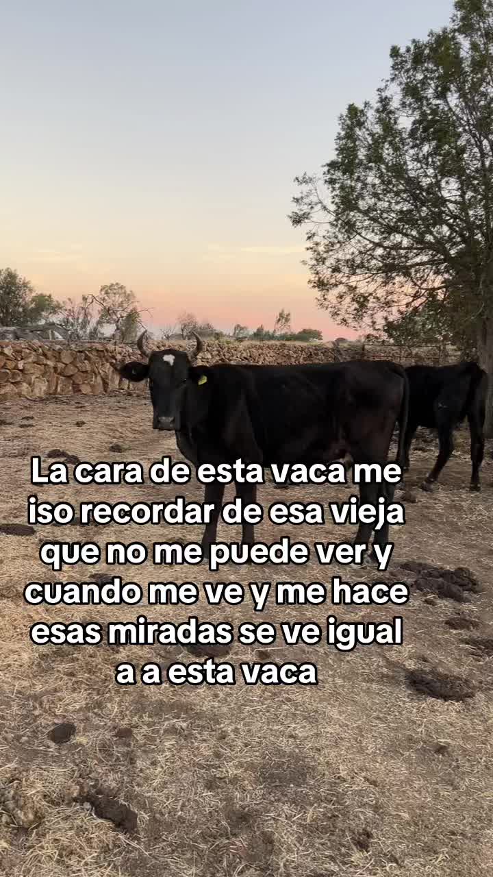 @Jovana Landa ✨