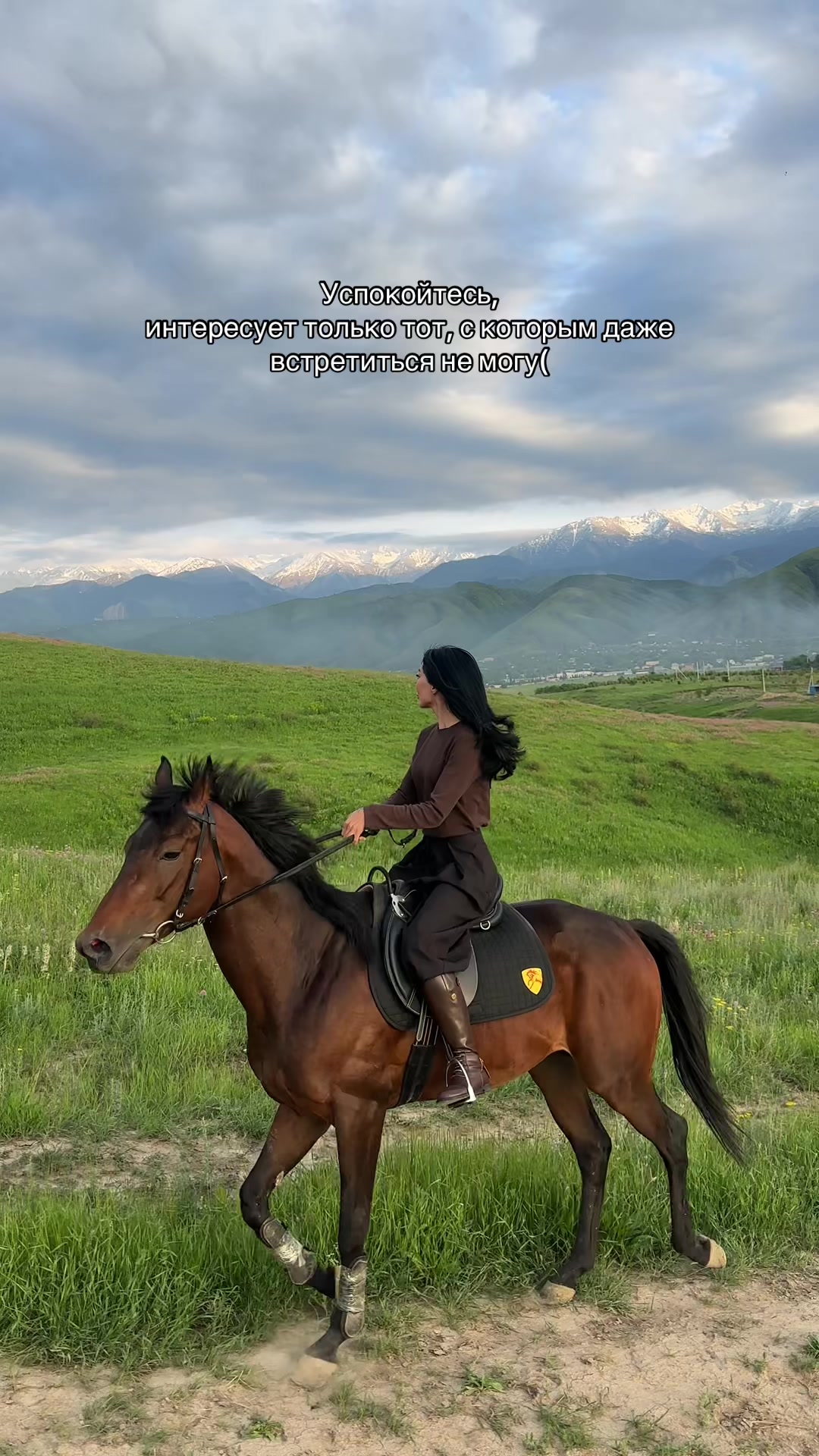 @NAZEKA🐎
