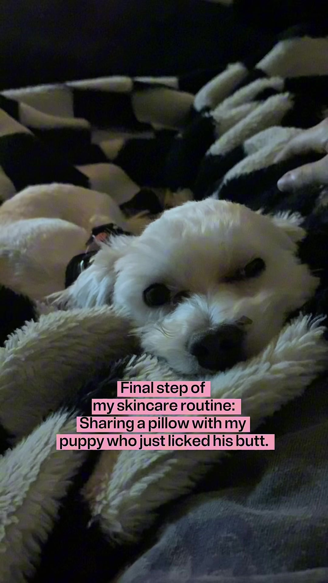 @๐ ๐ ๐ข ๐ ๐ ๐