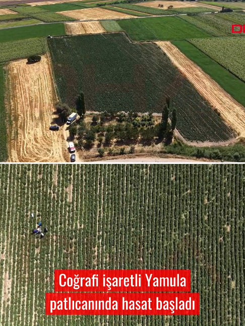 @Demir&ouml;ren Haber Ajansı