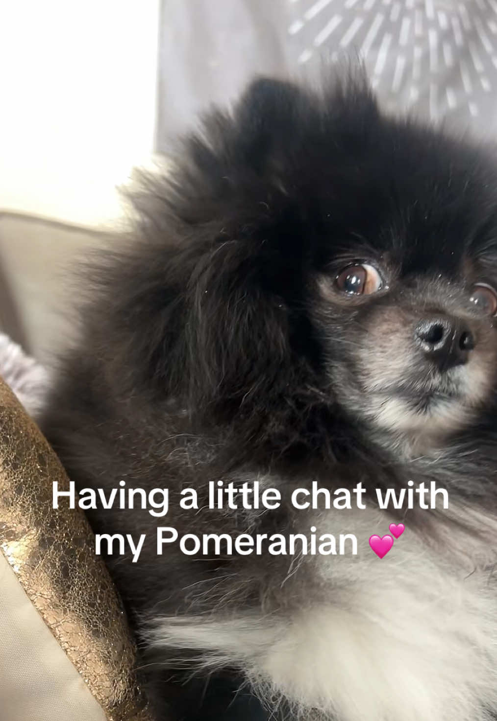 @BiggiePomPom