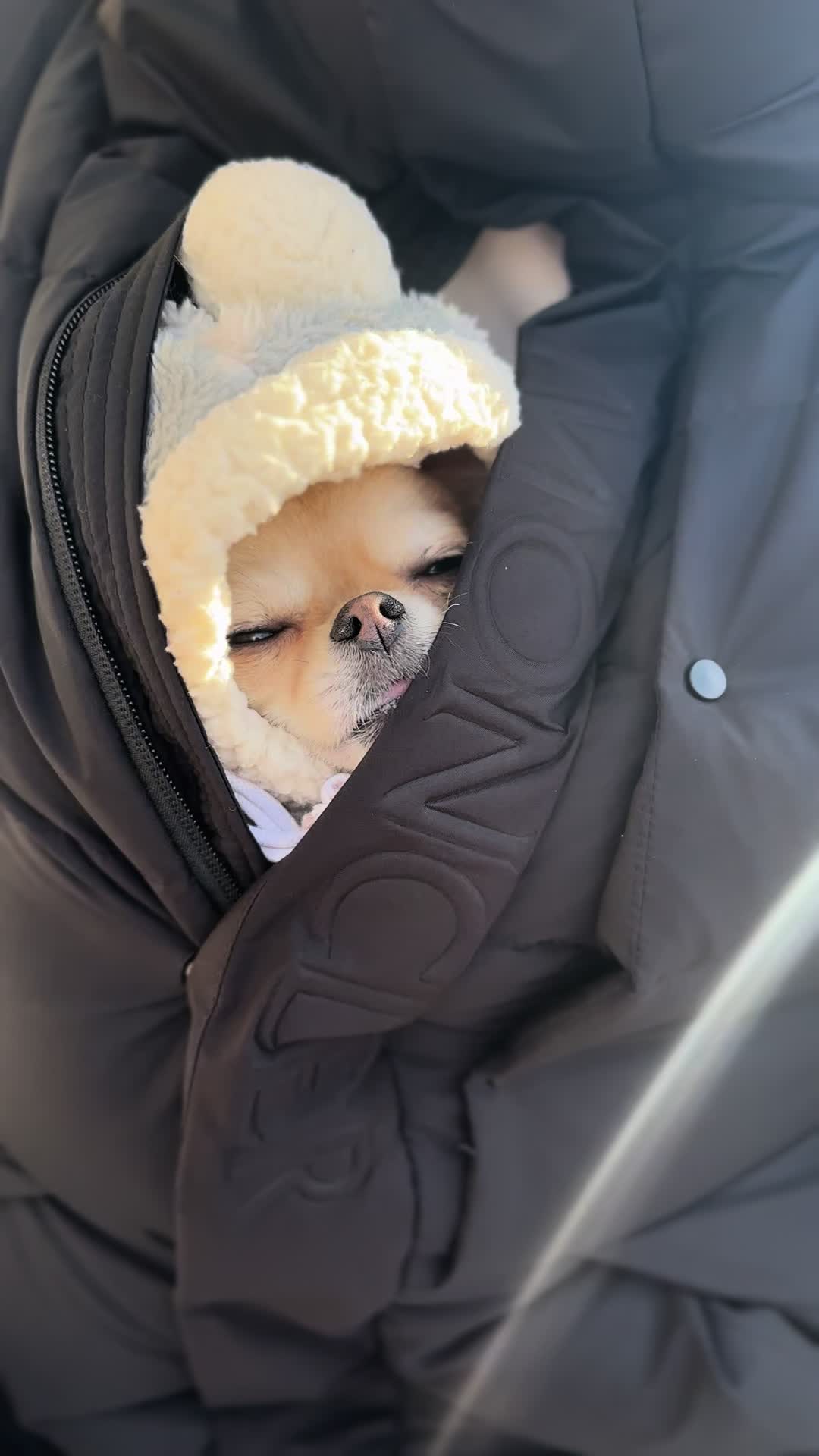@きなこおぜん