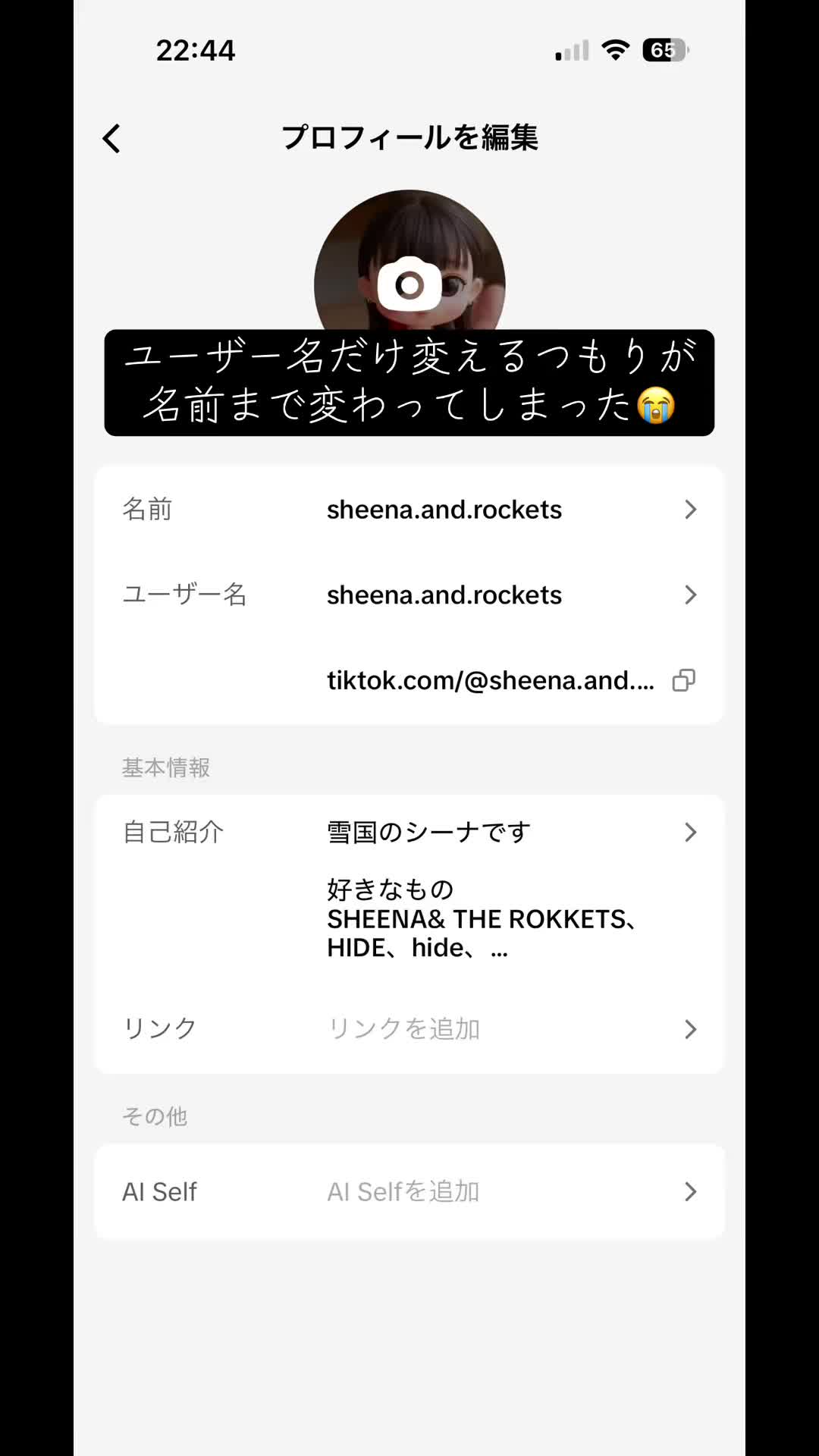 @雪国のシーナ
