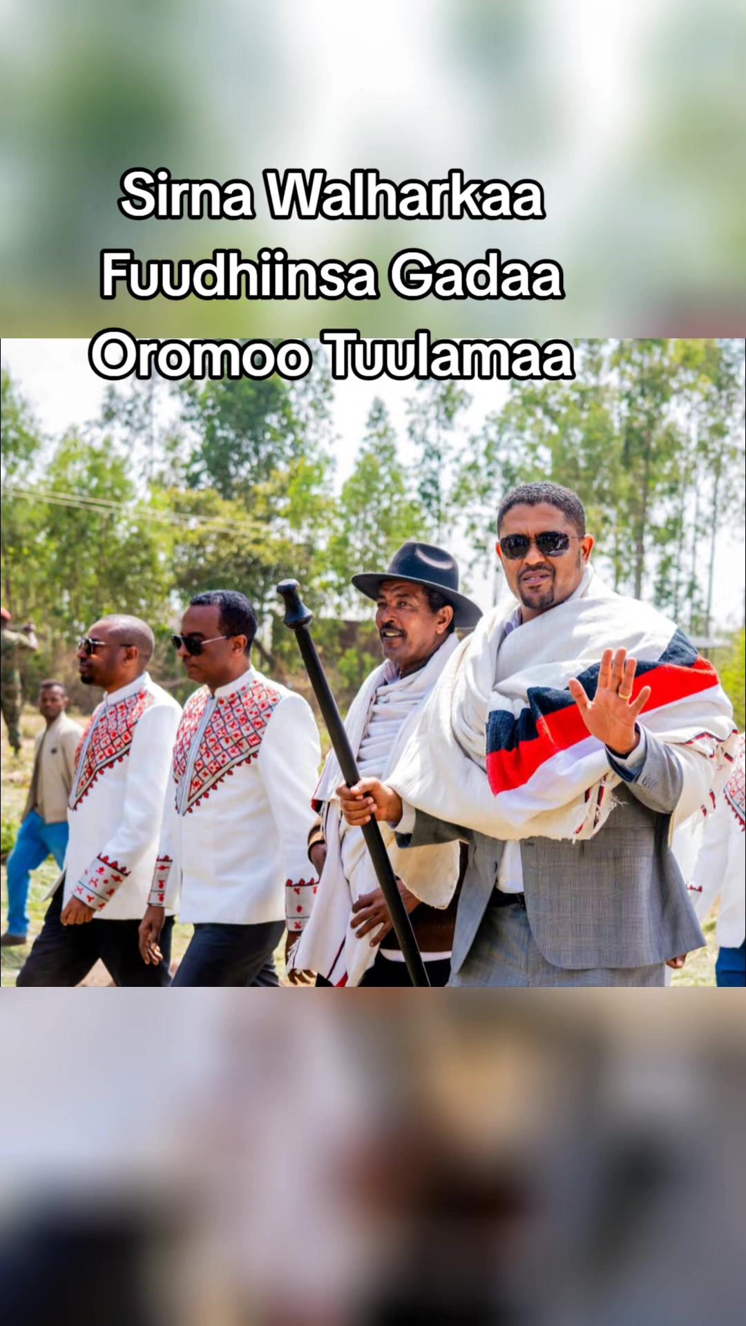 @Shimallis Abdisa Parody