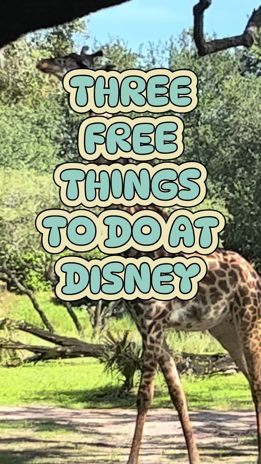 @lifetimeofmagic