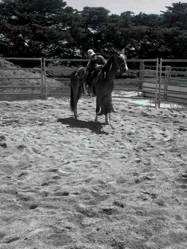 @Sutton Ranch