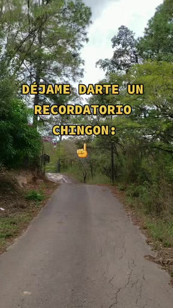 @Sara Chevez