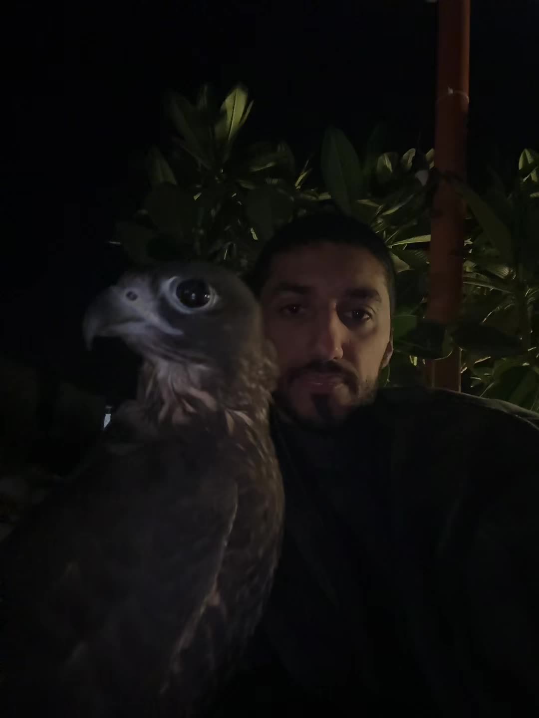 @محمد بن عاطن🦅