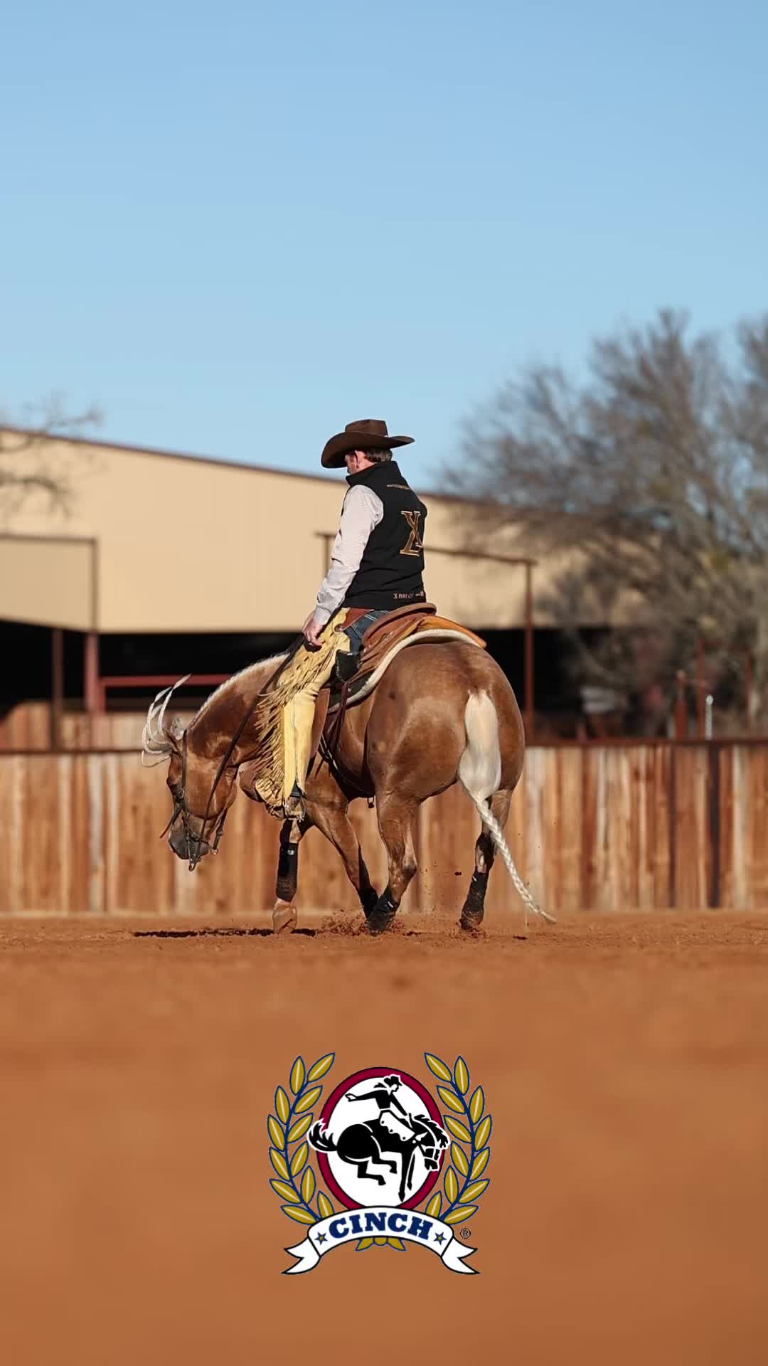 @Larson Performance Horses