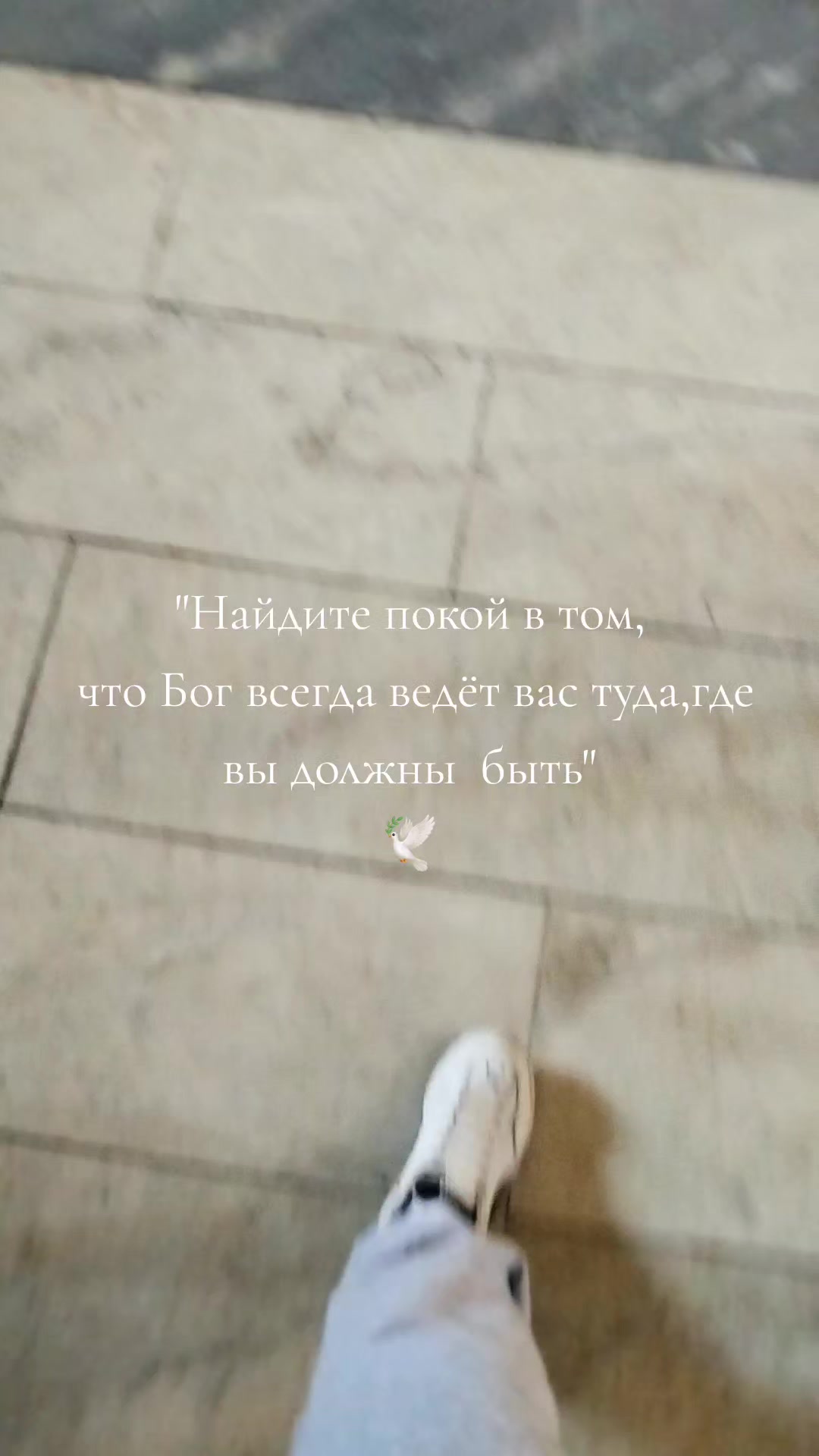 @🌸"Natalia"🍀♋️