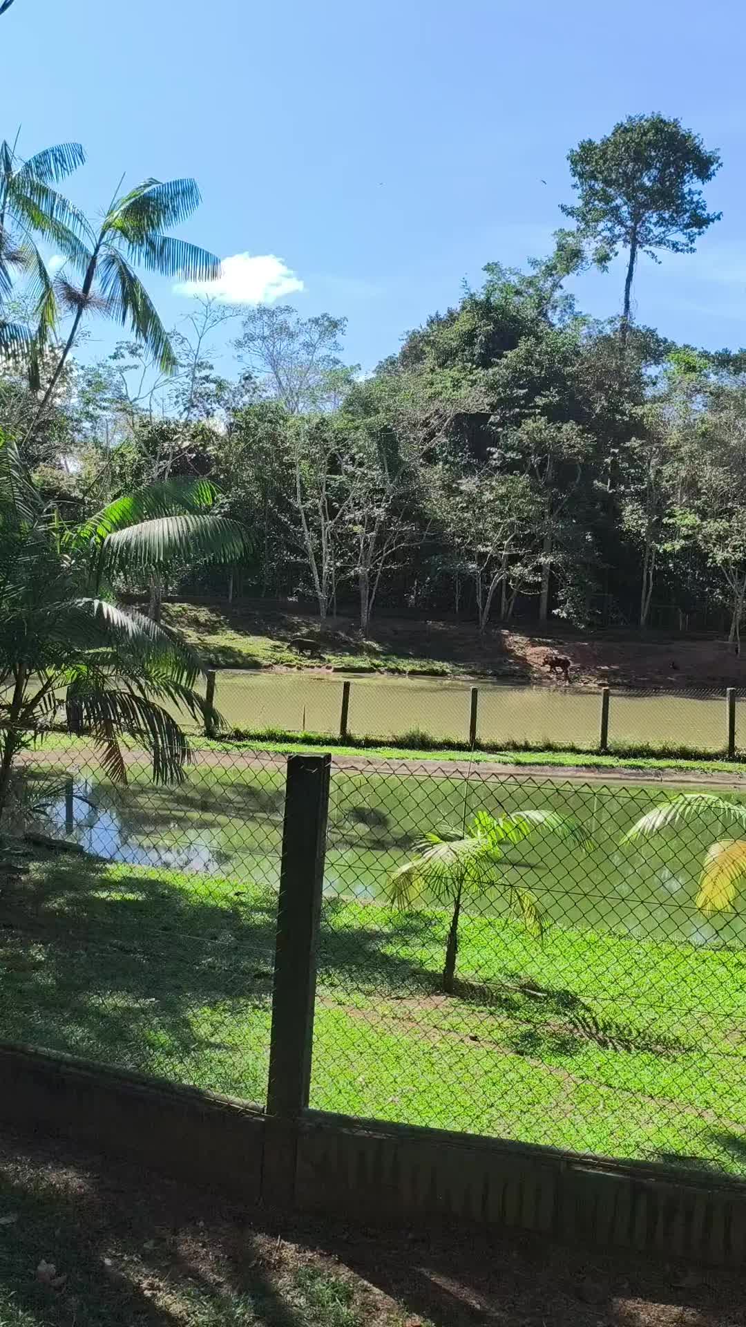 @Marinêz