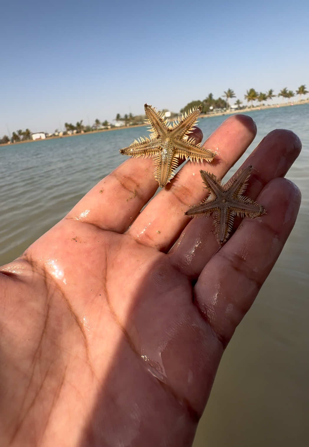 @ABDULRAHMAN🎣