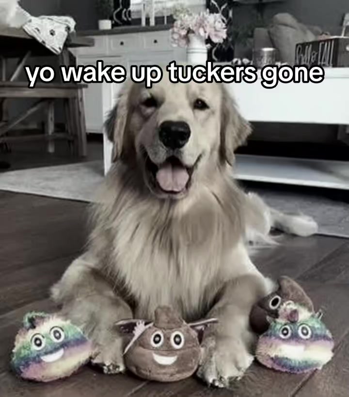 @Monsternoan