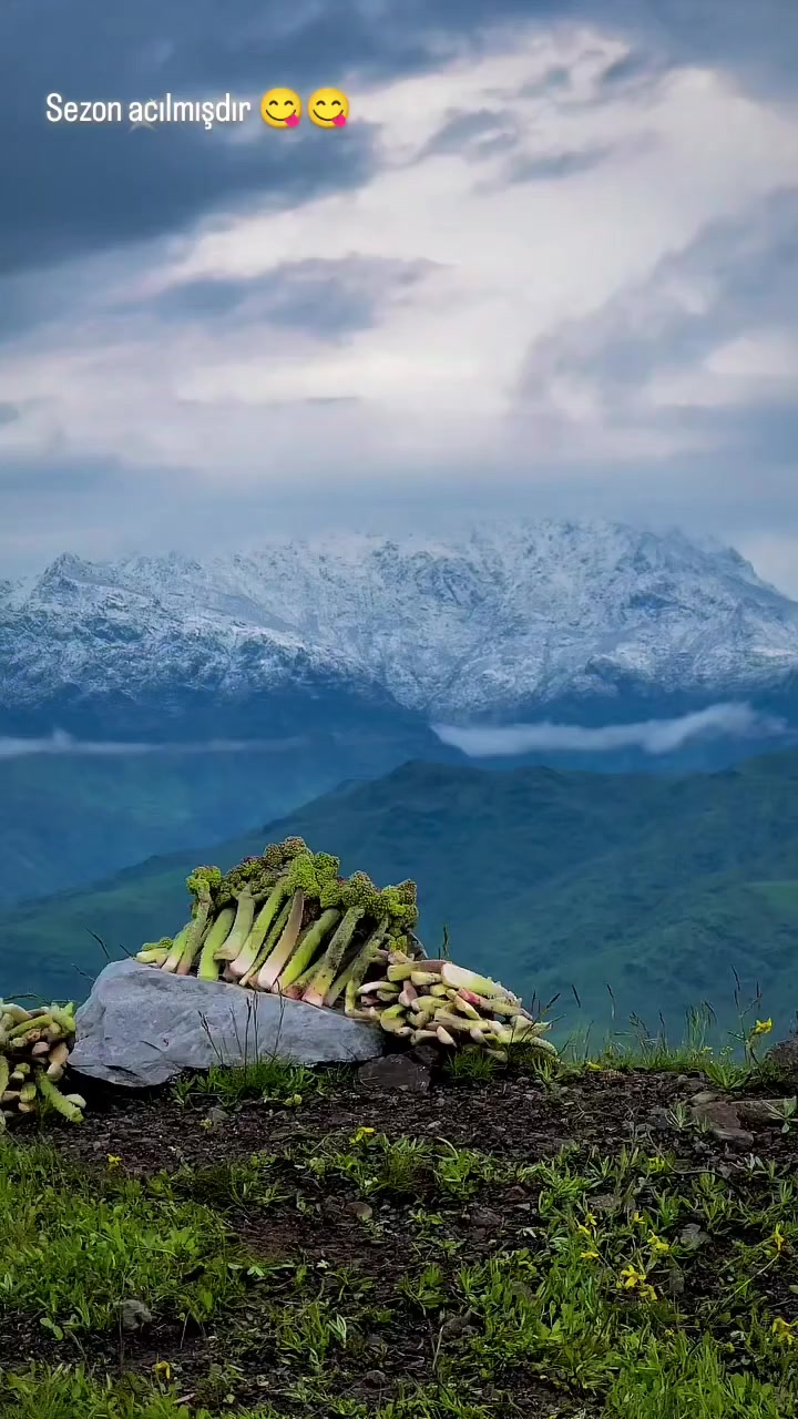 @yetkin497