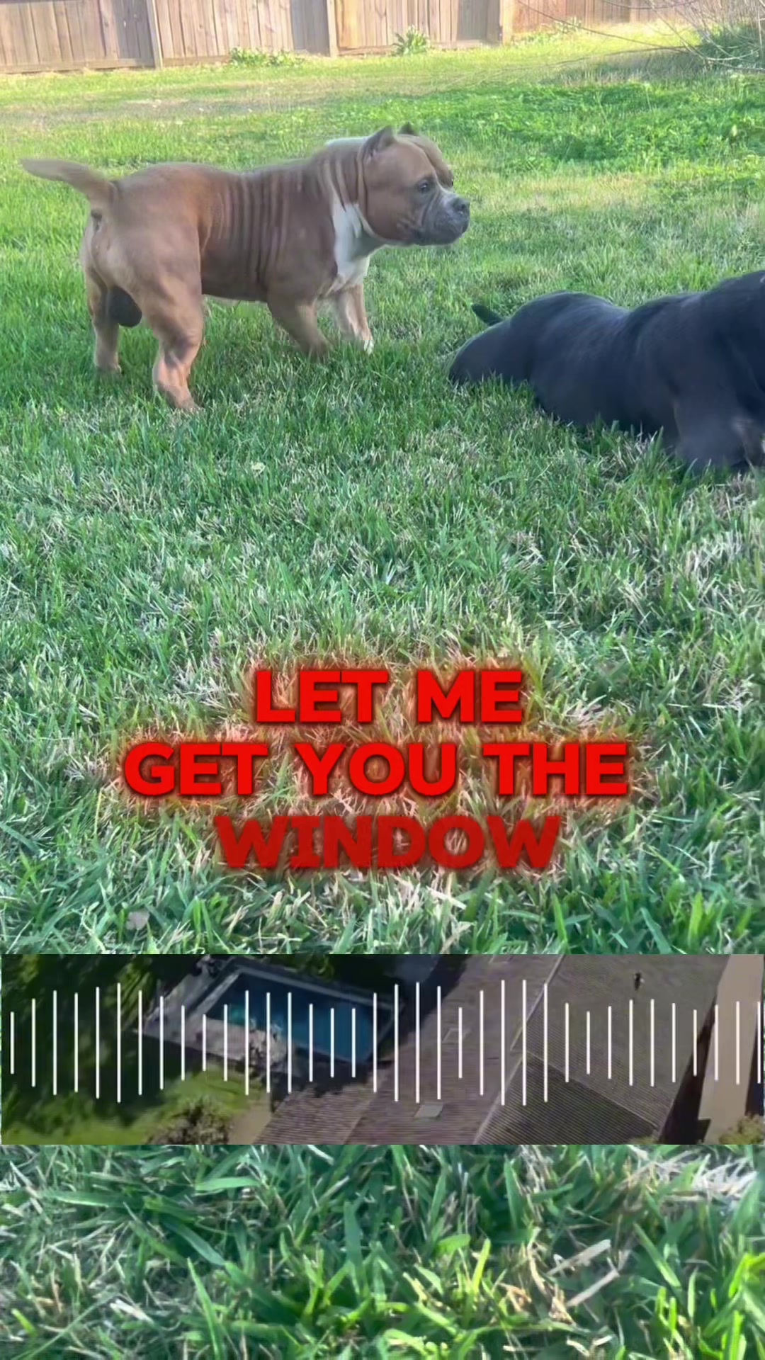 @GomezClipLab