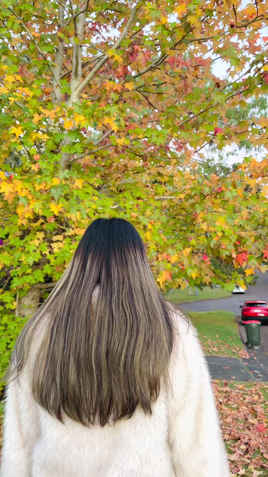@Ranjita