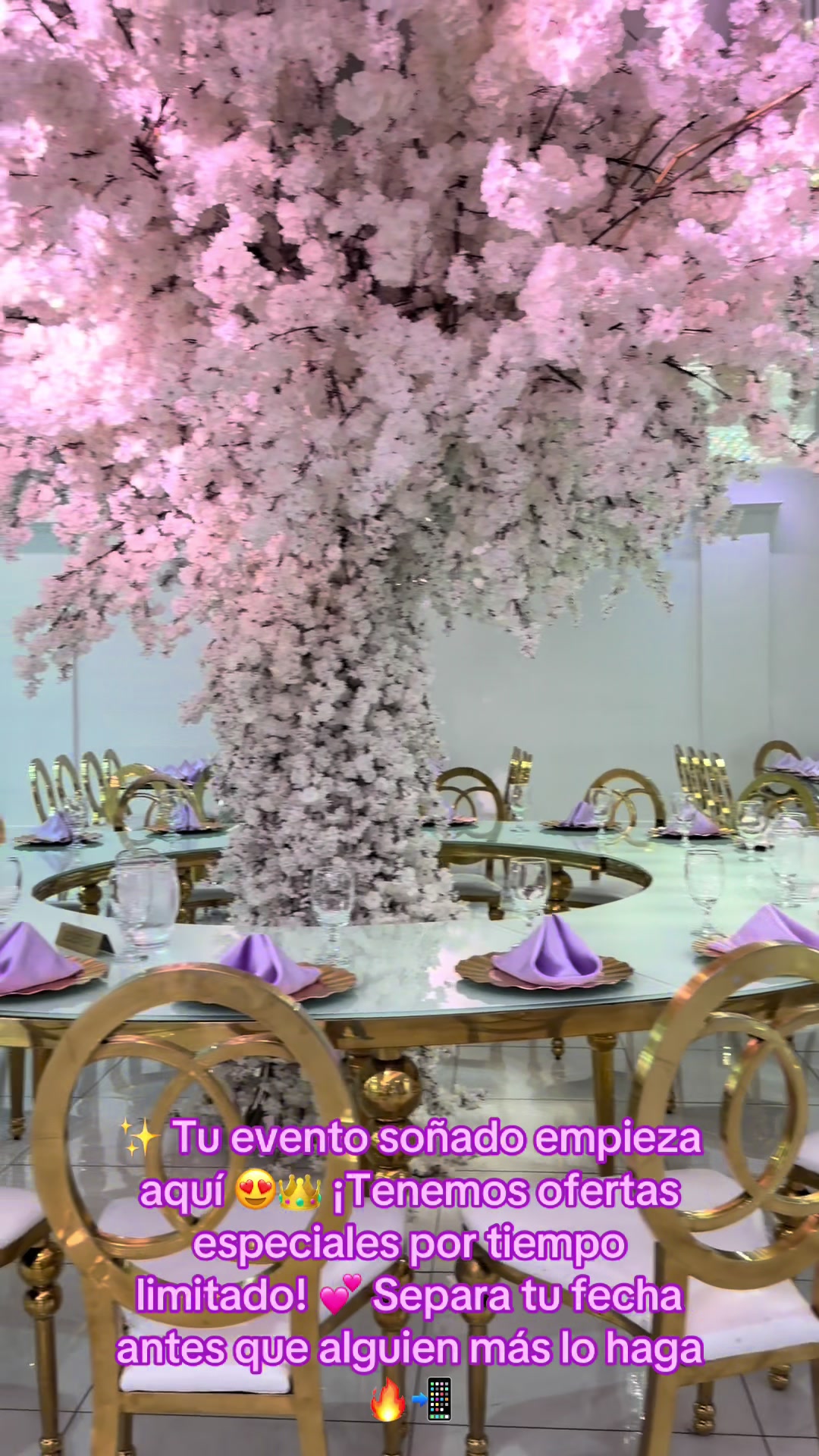 @Delux Banquet Hall