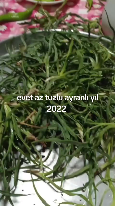 @s.d