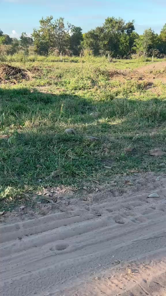@IRA&Iacute; ANTUNES