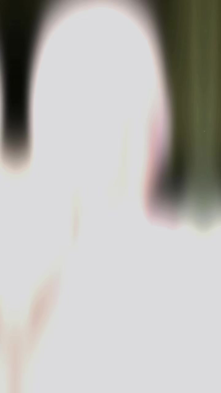 @𝐴𝑛𝑎𝑛𝑑𝑎_𝑦𝑢𝑙𝑦916