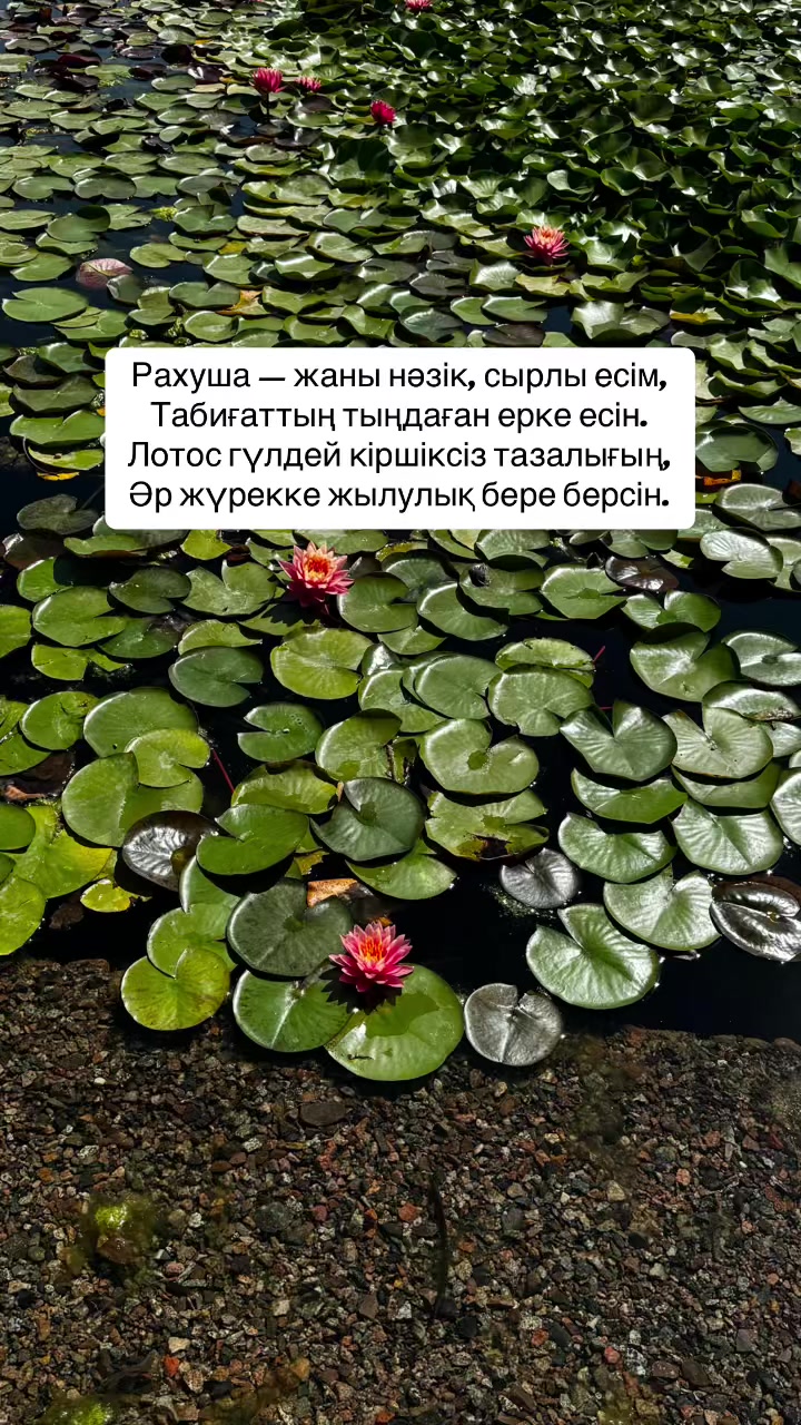 @Р.И.М