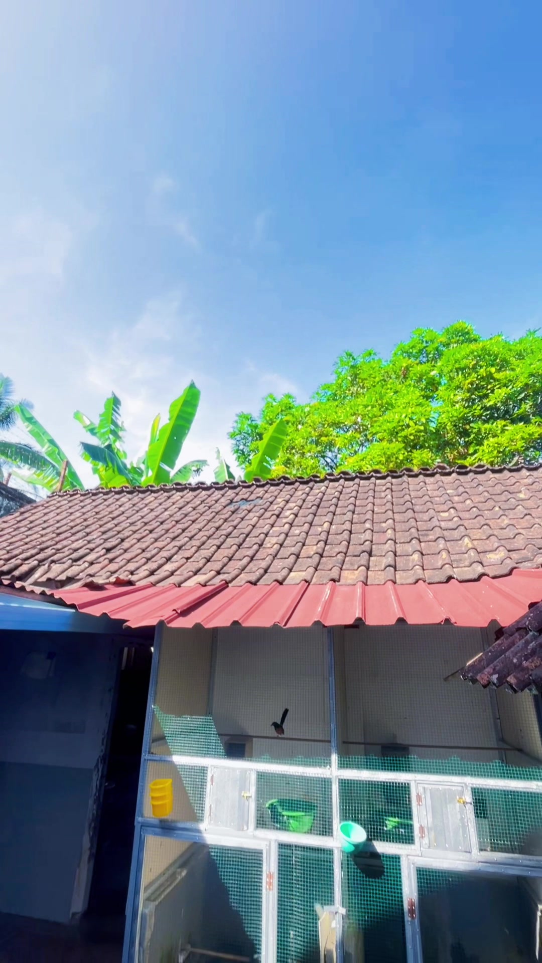 @MURAI BATU BONDOWOSO