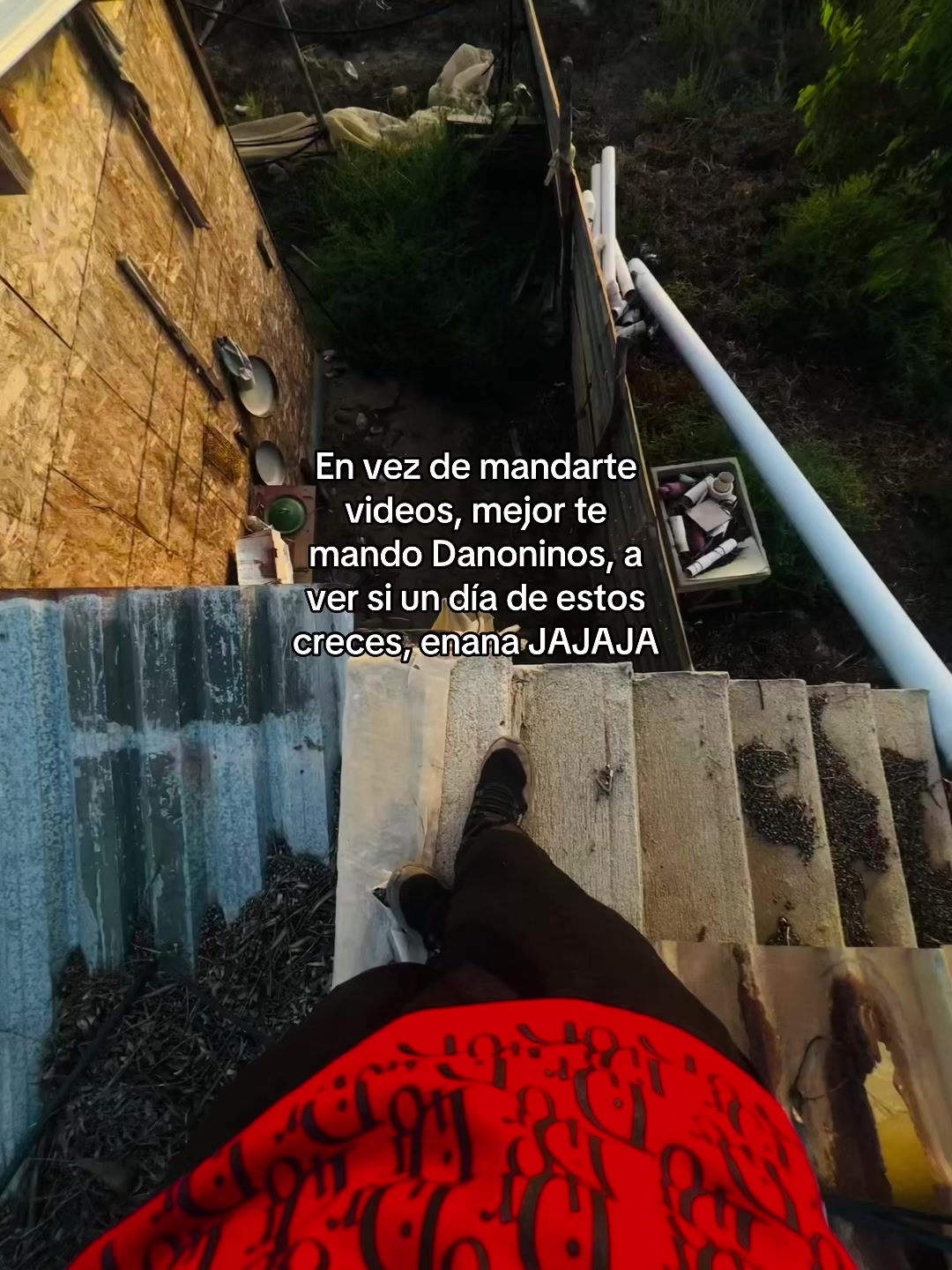 @jesusjp16