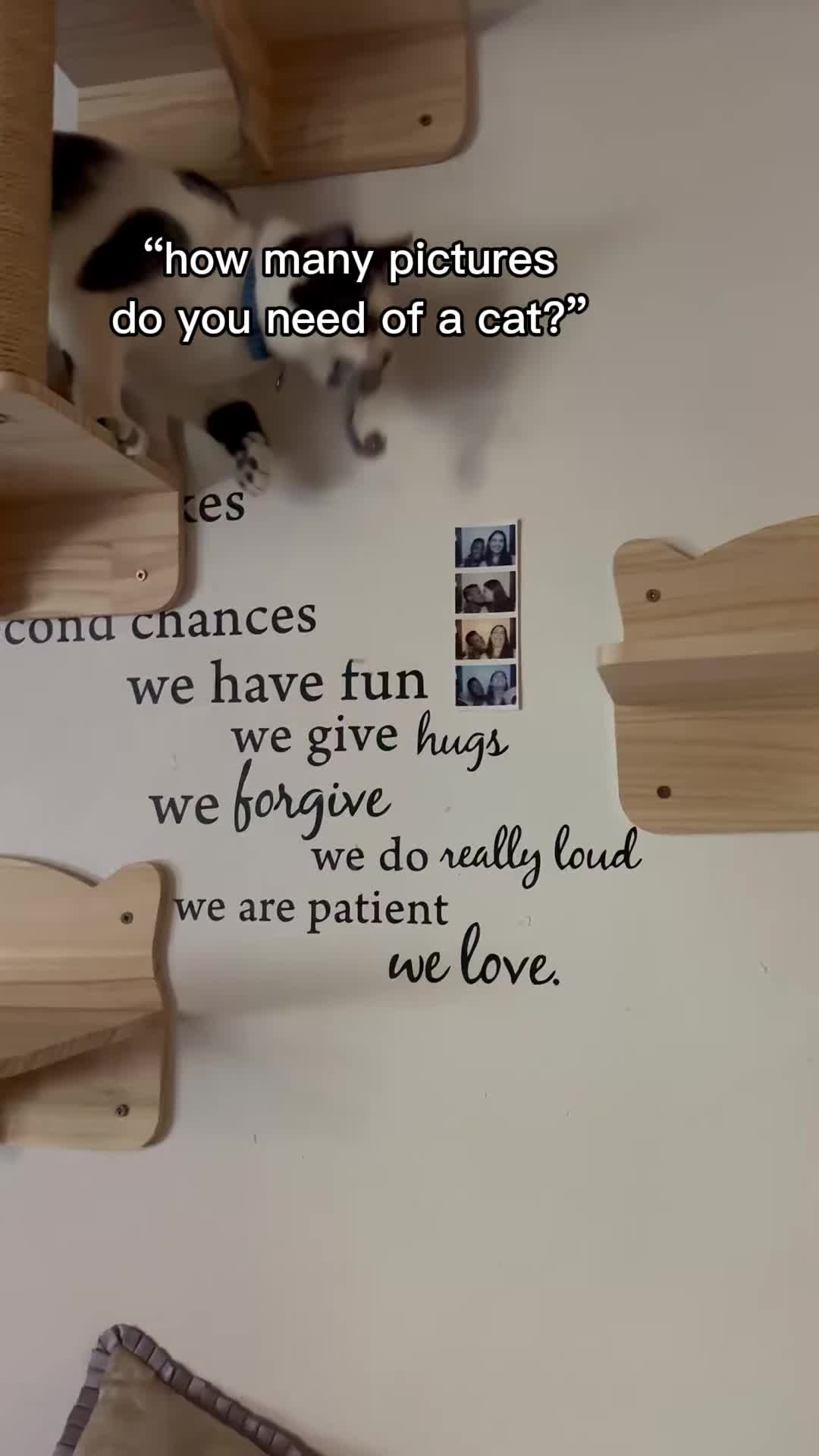 @Ryan Mcdowell