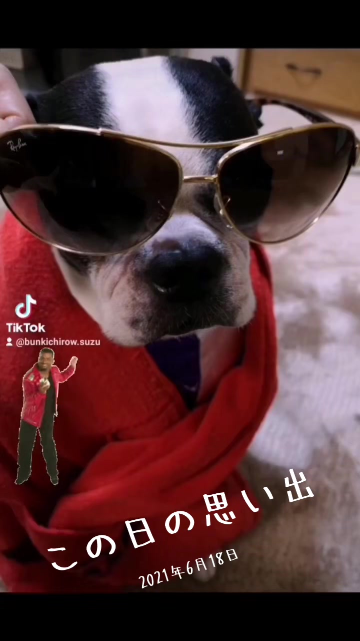 @Bunta