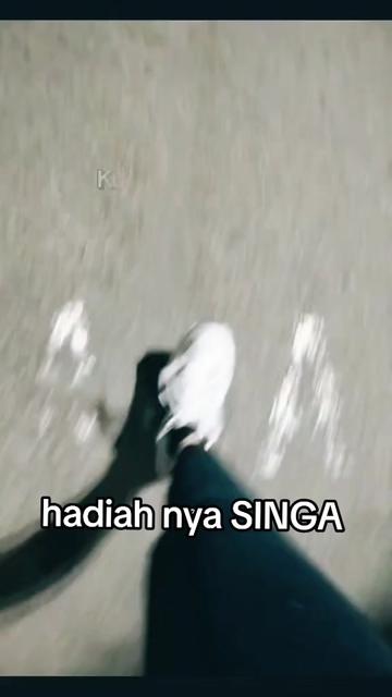 @SPƘ&bull;Ƙetua☆Zuii
