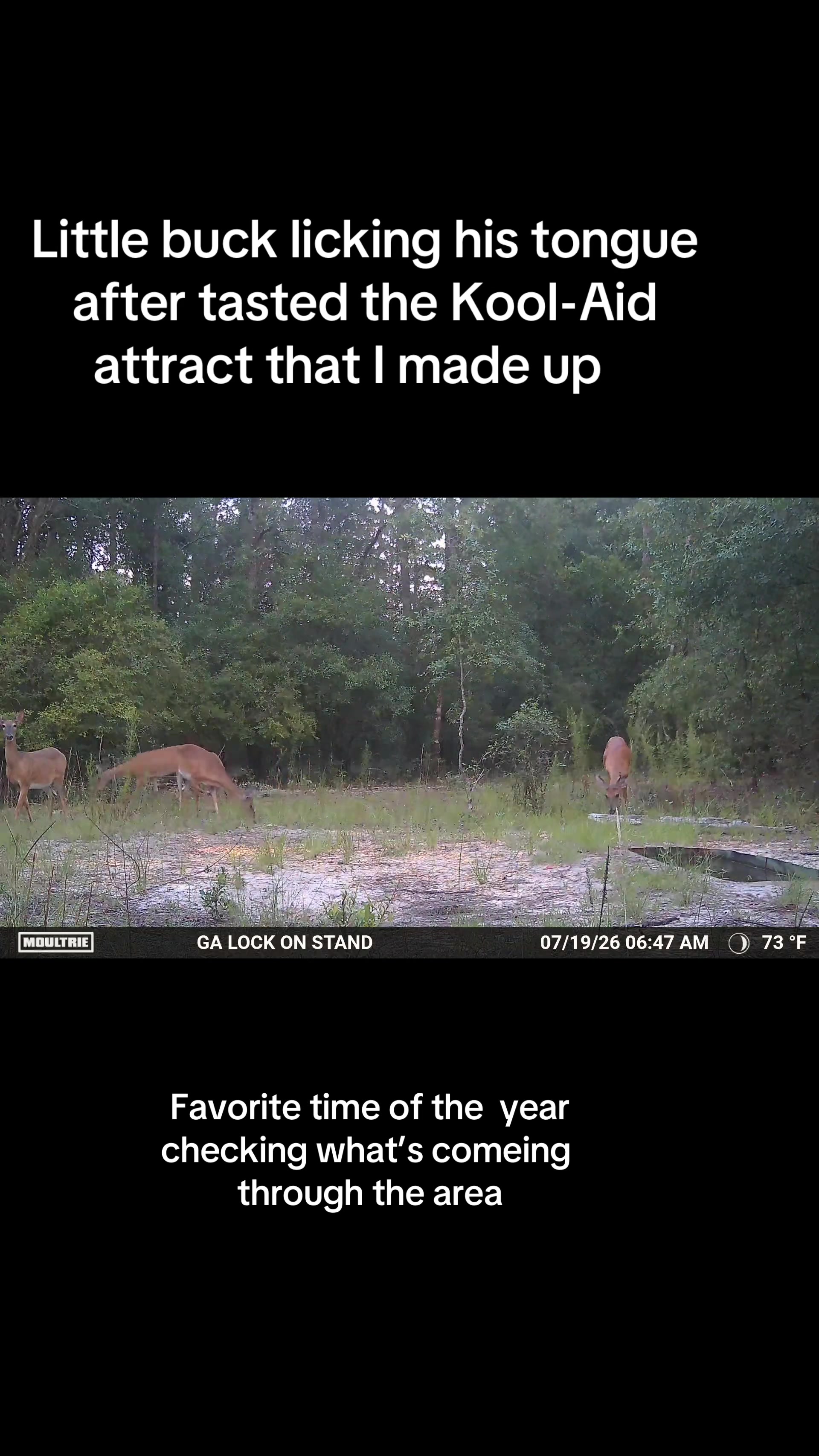 @GEORGIA STRING STALKER