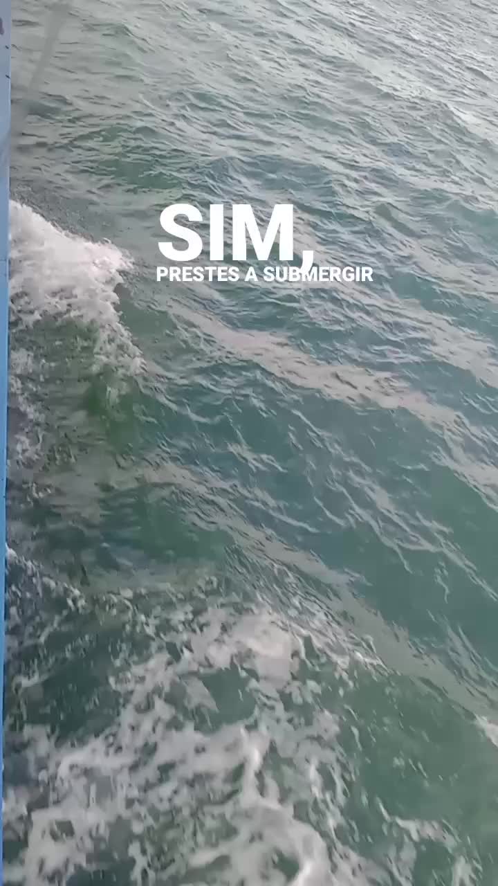 @Ana Paula Silva
