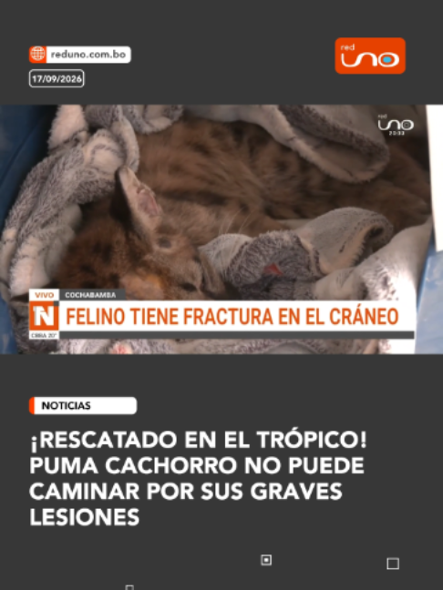 @RED UNO DE BOLIVIA
