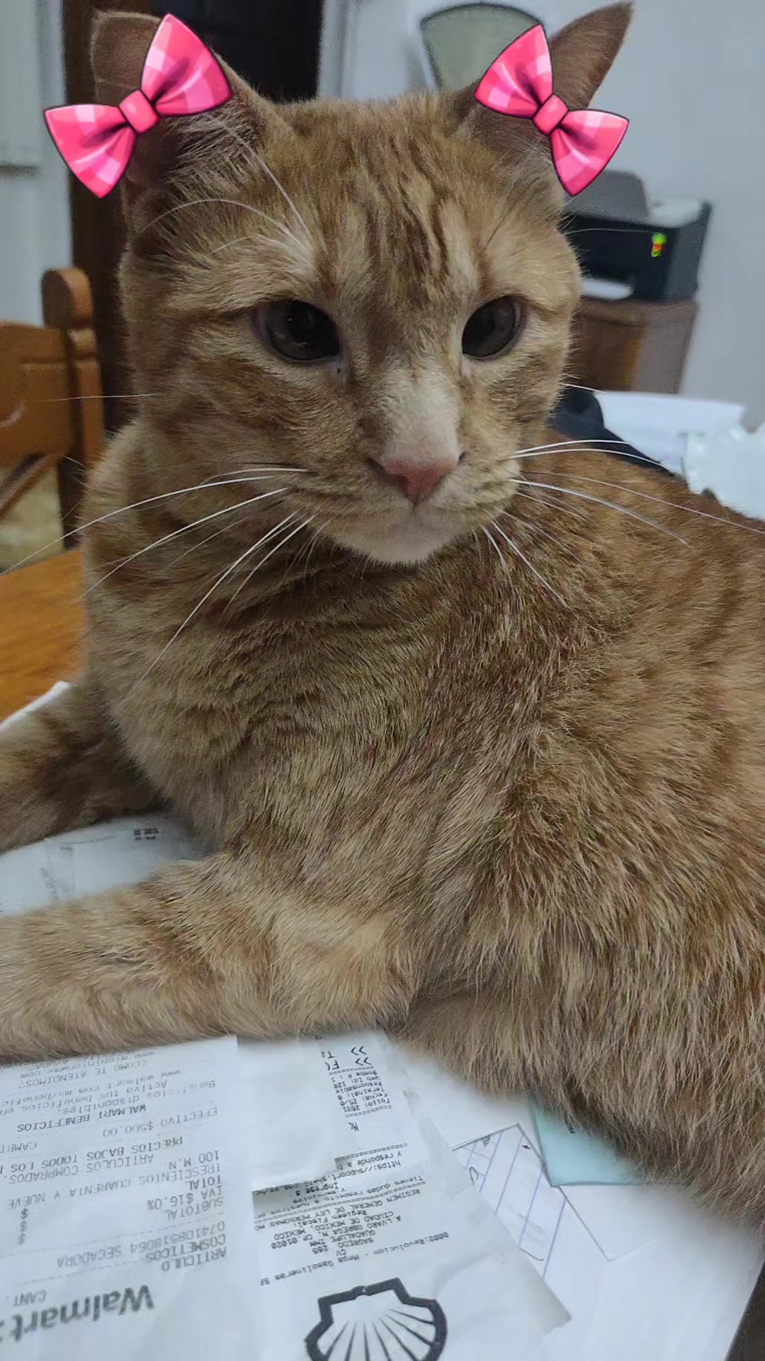@😻 Estela 😻