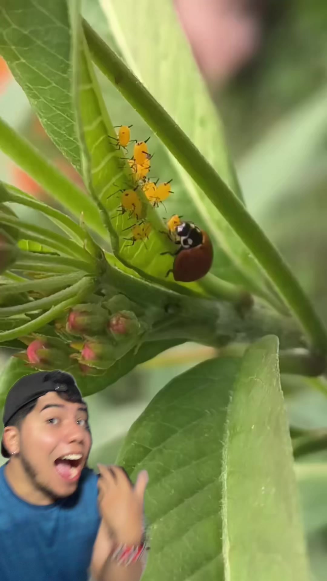 @Soy Sebassalvaje (d&uacute;os)
